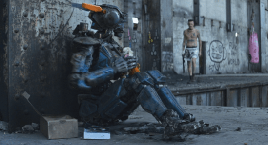 Chappie Book Box 2