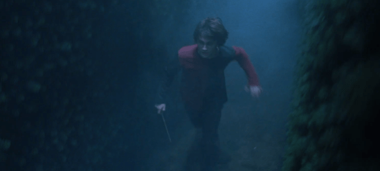 potter-wand-11