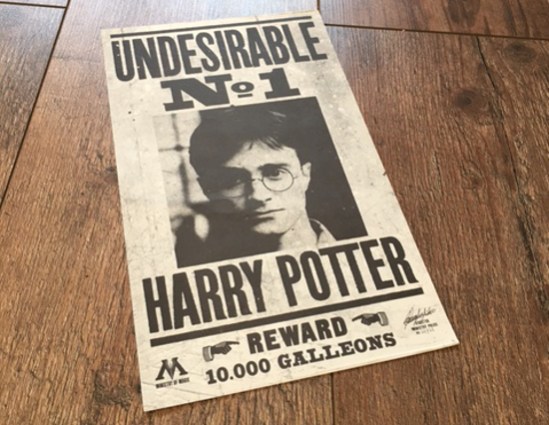 Harry Potter Flyer 1